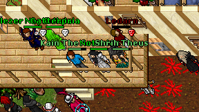 Notarius on screen