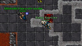 Bear Sorcer on screen