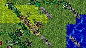 Lady gorina on screen