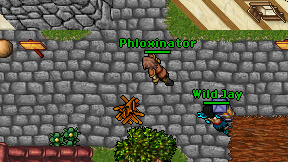 Phloxinator on screen