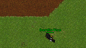 Dardia Vico on screen