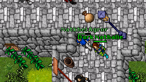 Natkhel Agror on screen