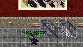 Mard Mareus on screen