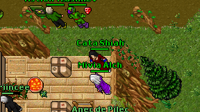 Cata Shiah on screen