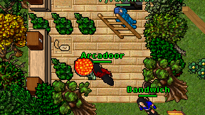 Arcadoor on screen