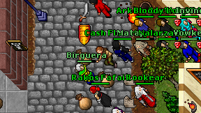 Birguera on screen