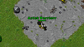 Aztek Warriorr on screen
