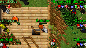 Anixior on screen