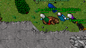 Kernus on screen