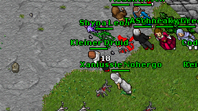 Kleiner Druid on screen