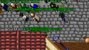 Prost'Druid on screen