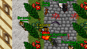 Carury on screen