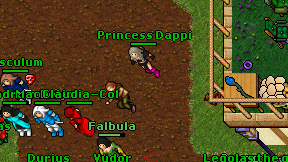Princess Dappi on screen