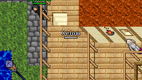 Xelom on screen