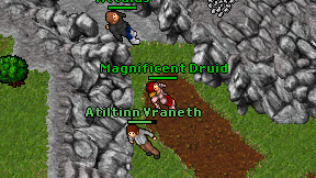 Magnificent Druid on screen