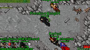 Pienkna Knight on screen