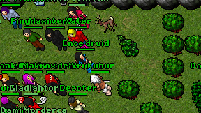 Ence druid on screen