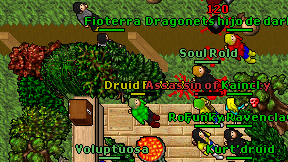 Druid Futbol on screen