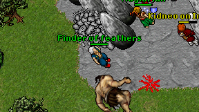 Finder of feathers on screen