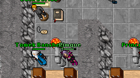 Pimque on screen