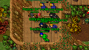 Lodziarynka on screen