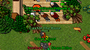 Castle the Bone on screen