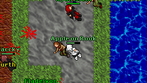 Apple on Rook on screen