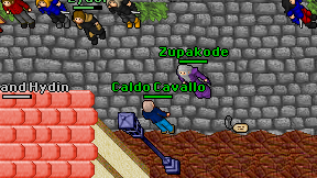 Caldo Cavallo on screen