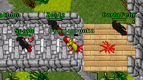 Don manrunka on screen