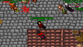 Cannabrava on screen