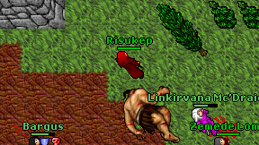 Risukep on screen