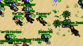 Xapera on screen