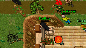 Delloc on screen