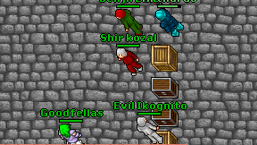 Shir kozal on screen