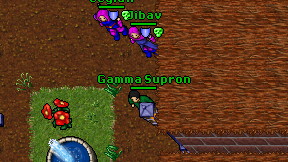 Gamma Supron on screen