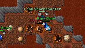 Rip-Zone on screen