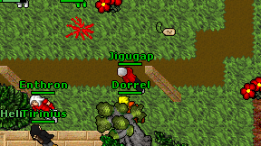 Jigugap on screen