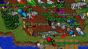 Odin Swordmaster on screen