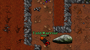 Told Warrior on screen