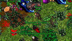 Massey Druid on screen