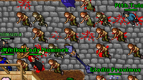 Sinimuna on screen