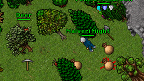 Malveri Might on screen