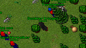 Dunkler Krieger on screen
