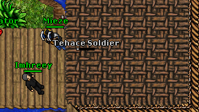 Tehace Soldier on screen