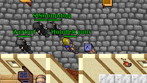 Hoodek juni on screen