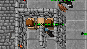 Falcon noturno on screen