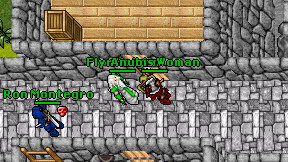Flyr Heigon on screen