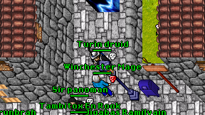 Turin druid on screen