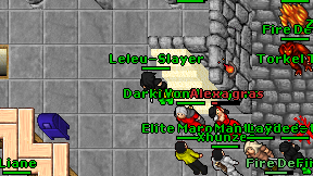Leleu-Slayer on screen