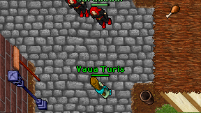 Vaua Turis on screen